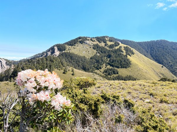 202204260501雪山西稜封面