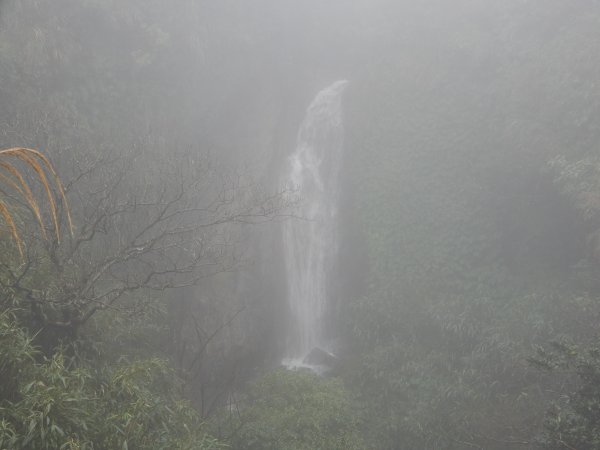 台北大縱走之七星主東峰536664