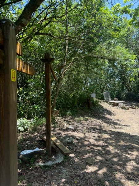 20250502 安坑七山2775097