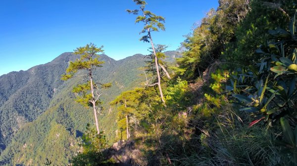 波津加, 大雪山遊客中心1525395