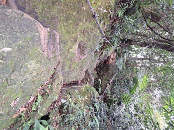 2026微笑山線筆架連峰段3103655