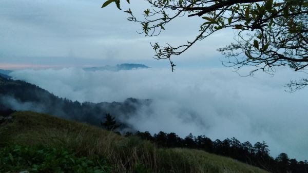 合歡東峰128971