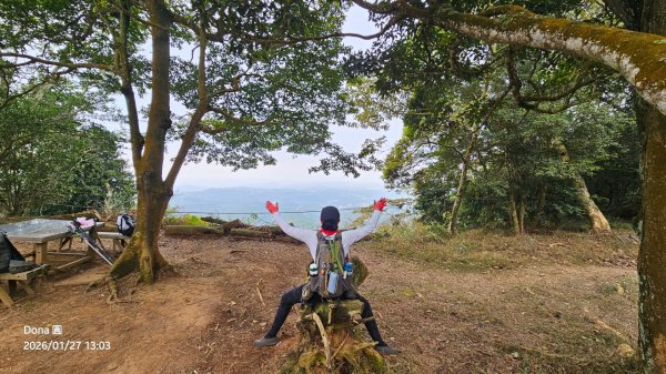 20260127三通嶺山.三義山(大桁茂山).慈濟山.大坪山大O走2989967