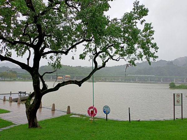 內湖大港墘公園、大湖公園 (防災公園) 【走路趣尋寶】1896640