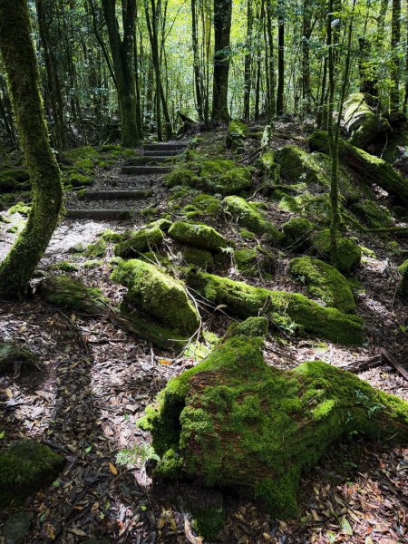 船型山-稍來小雪山國家步道3138036