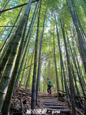 【台中和平】山林野餐。長壽山(肥崠山)山徑2969448