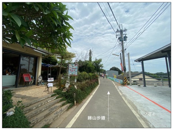 樟普寮山、藤山步道、微熱山丘3107221