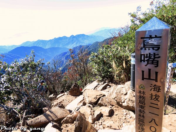 鳶嘴稍來山順時針標準O型縱走1183074