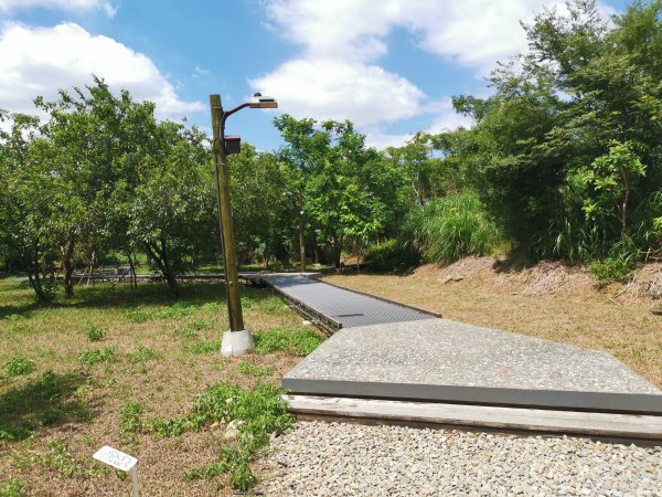 暑之大湳森林公園2859587