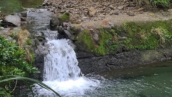 2025-01232淡蘭古道北二段(燦光寮古道到澳底)2696549