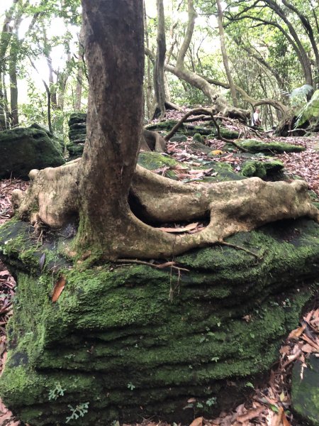 走遍陽明山—環七星山冷水坑新園街絹絲瀑布2142037