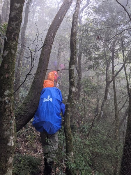 露門山路門1321421