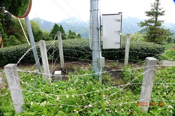 嘉義 梅山 鹿崛坪山(幼葉林山)1730029