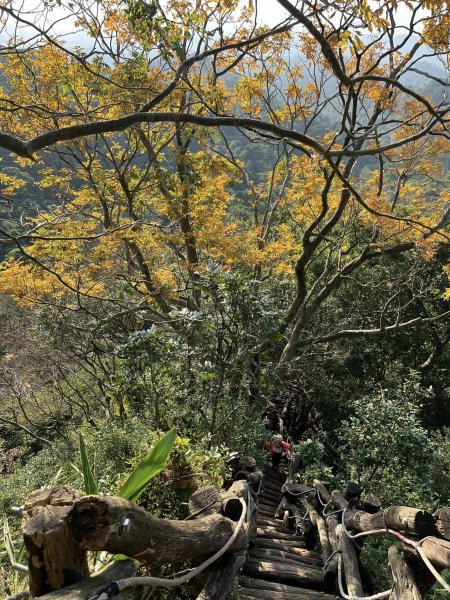 大坑二號步道2711567