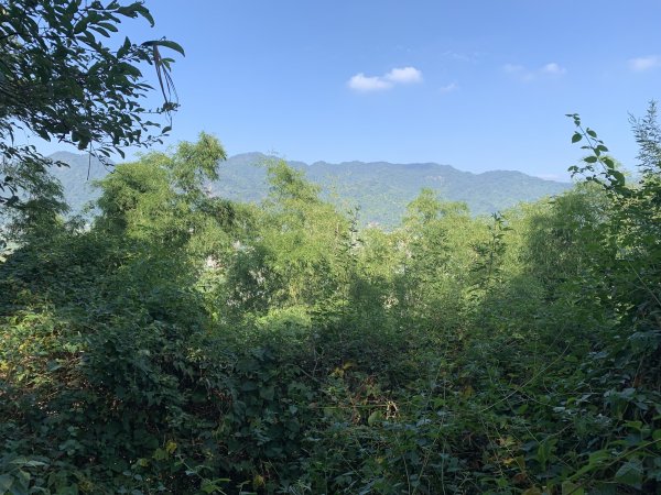 20251122高雄竹山口山2945296