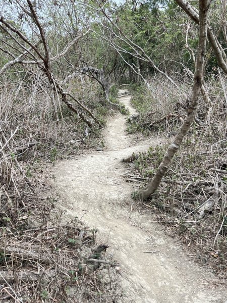 小百岳-大山母山2752559