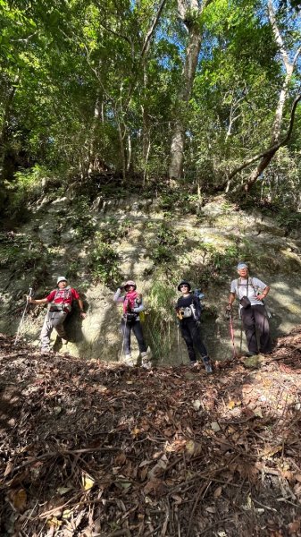 南庄鵝公髻山東河線2970565