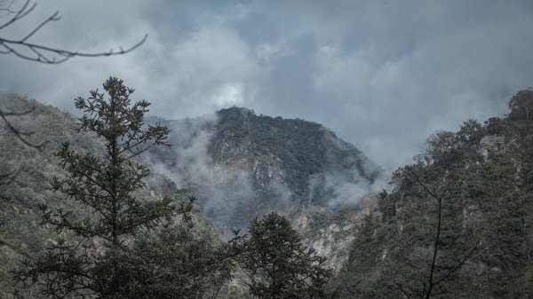 瓦拉米步道-佳心營地住一晚2708452