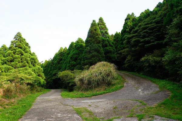 新北 三芝 小觀音山群峰3085462
