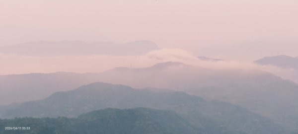 #山羌 #親子檔 #二格山 #日出 #雲海 #晨霧 4/113033432