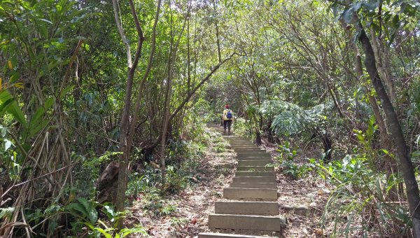 (姨婆趴趴走)第十七集:基隆暖東峽谷環山遊憩步道健走2228415