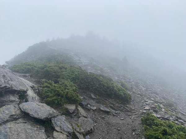 南橫三星-關山嶺山2221679