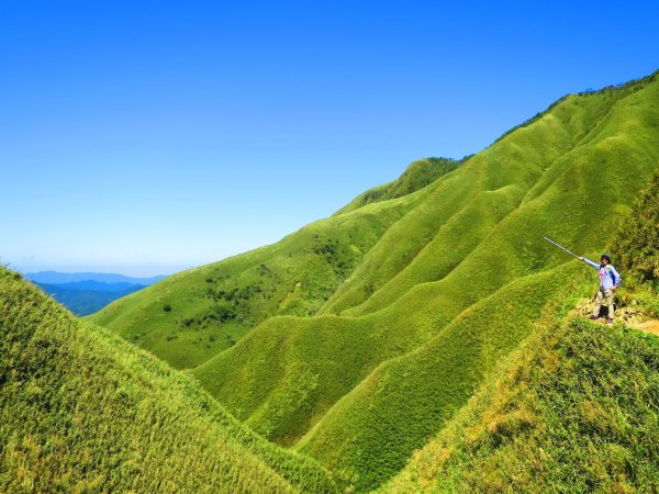 走聖母與三角崙山步道 再探神級抹茶山698514