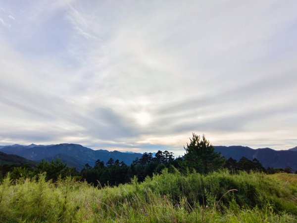 兩颱風之間空擋登屏風山巧遇保育類動物+出大景2237813