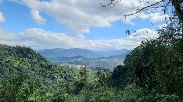 2021-0103 烘爐地步道大O型1224241