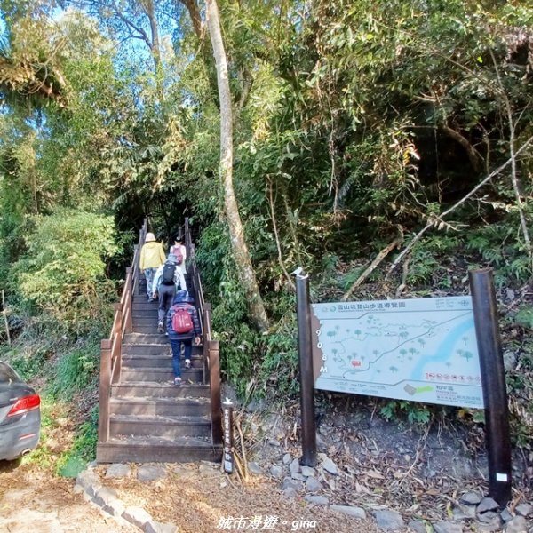 【台中和平】生態廊道。 雪山坑環線步道x巨人之手觀景點2953999