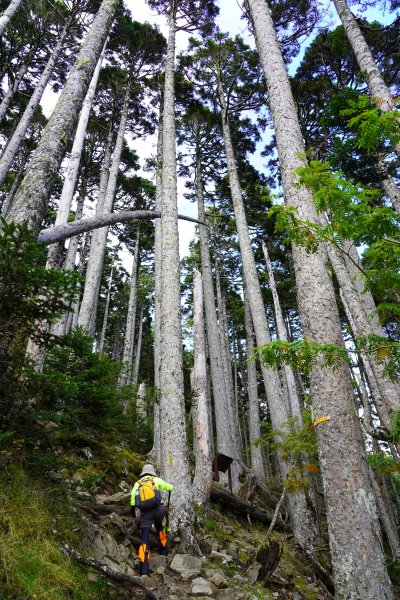 雪山主東峰一日單攻1152779