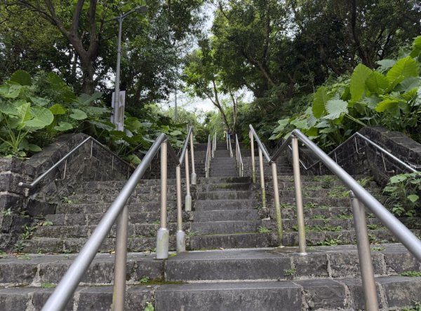 [2026臺北健走趣-14/50] 2026_0823_木柵公園3122231
