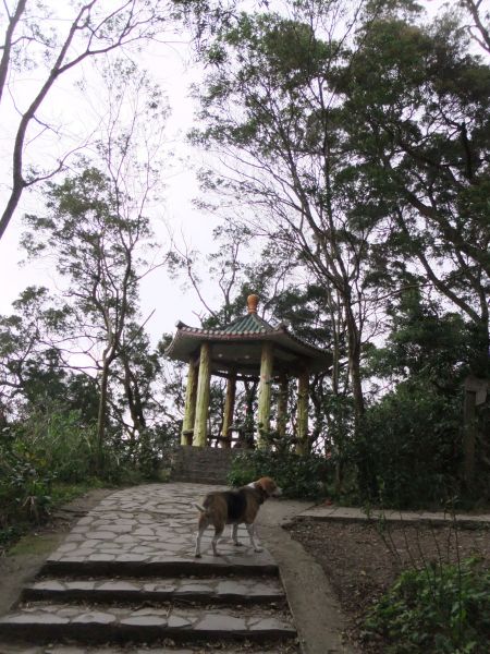 飛鳳山‧觀日坪210891