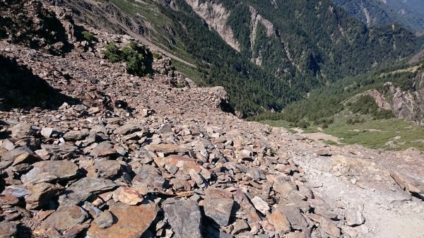 2017-8-13玉山主峰，東峰，北峰437276