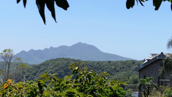 水磨坑古道,竹林古道2561798