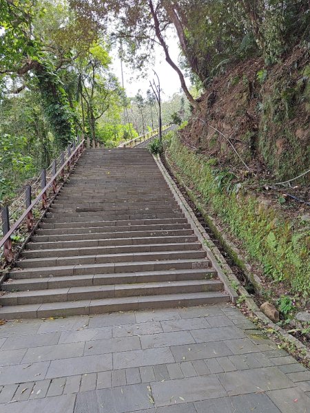 臺北大縱走第七段 世界山莊至飛龍步道政大後山2753466