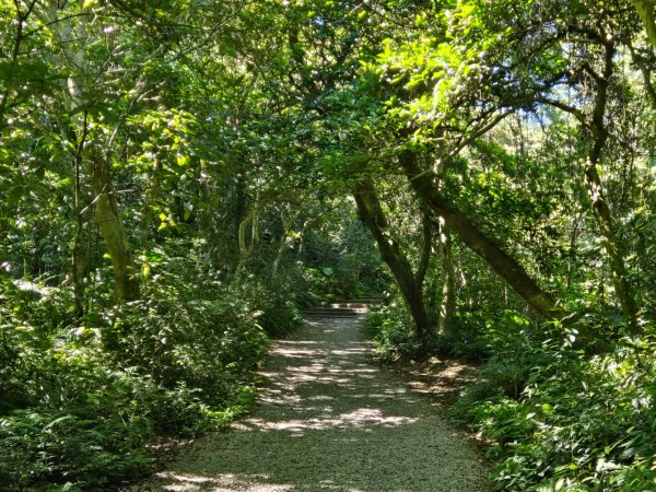 桃園石門山（小百岳）2910041