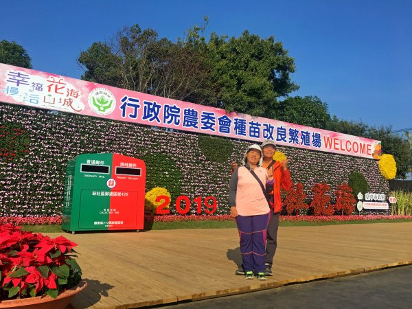 2019新社花海2019/11/12734647