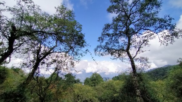 石水山 真鹿林山 鹿林天文台1492539