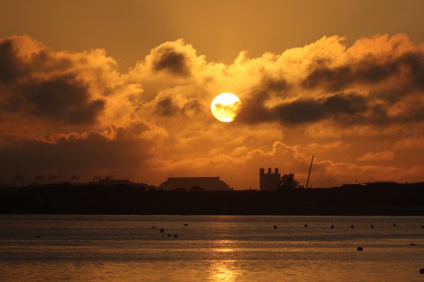 2022-11-17 淡水賞夕陽─捷運雙連站→民生西路→大稻埕碼頭→延平河濱公園花海+淡水賞夕陽