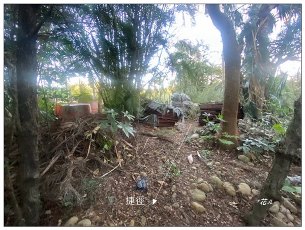 乞食崙 ( 台中/大肚山 )2937409