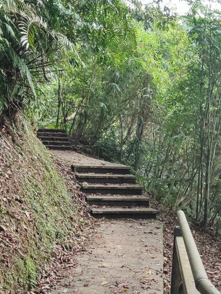 微笑山線：【二格山系】和美山螢火蟲段2834858