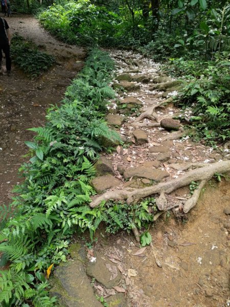 20210503 石門山1372401