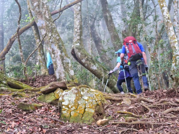 水雲三星 鳳山-鳥嘴山（上島山）1648039