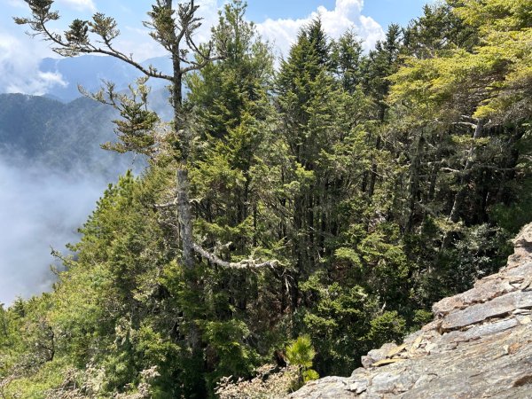 25/04/11羊頭山單攻2760073