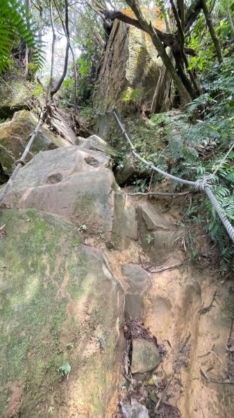 銀河洞越嶺貓空-新高麗坑山-銀獅縱走-猴山岳群峰+三條魚縱走2998280