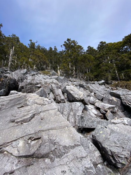 一日單攻白姑大山821543