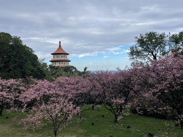 山仔頂步道2708422