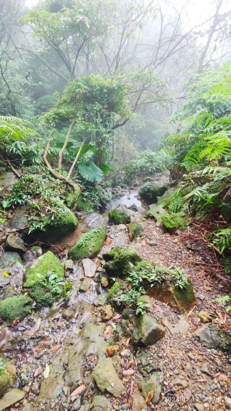 劍龍稜初體驗2431326