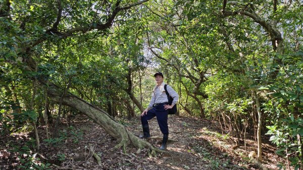 貢寮區三貂角燈塔+萊萊越嶺古道+萊萊山+萊萊三叉峰+吳家古厝+舊草嶺隧道北口+福隆車站3001134
